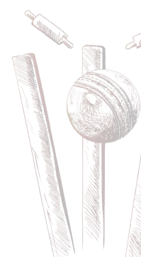 cricket illustration