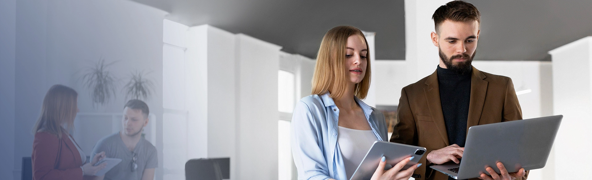 custom software development